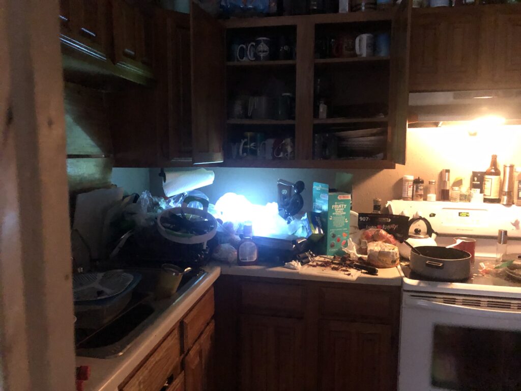 PeriwinkleKitchenBefore